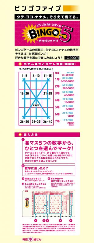 ビンゴファイブチラシ