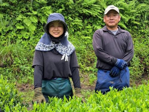 錦江R7年6月城下製茶