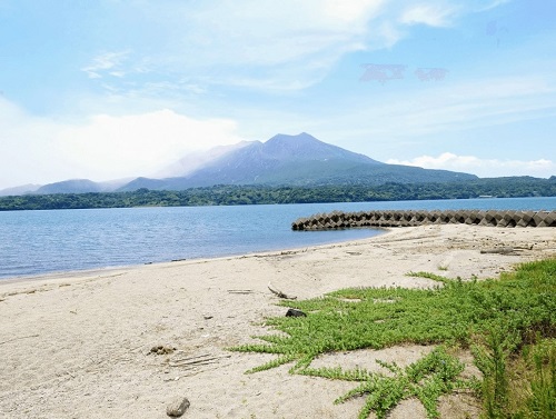 獅子島銀