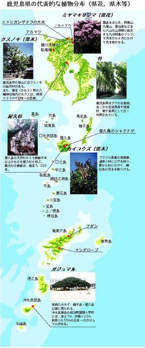 植物分布