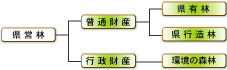 県営林の区分