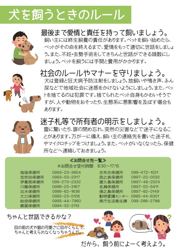 犬チラシ裏