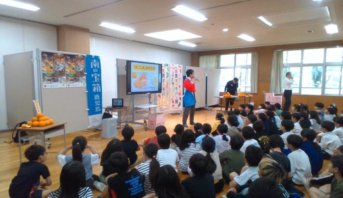 全体写真