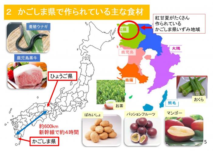 主な食材