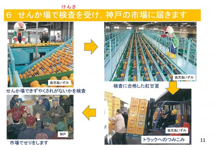 選果から市場