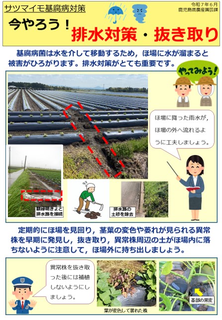 抜き取り