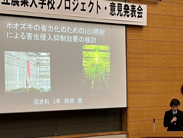 プロジェクト発表