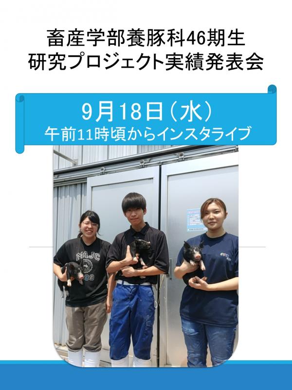 養豚科プロジェクト実績発表会