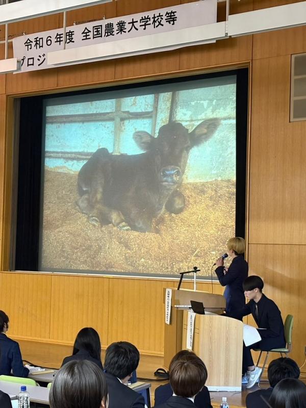 全国プロジェクト意見発表会1