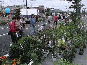 宮前通線（肝付町）