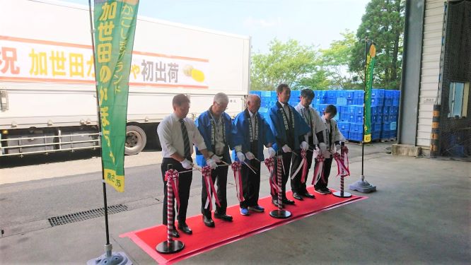 セリ前研修1改