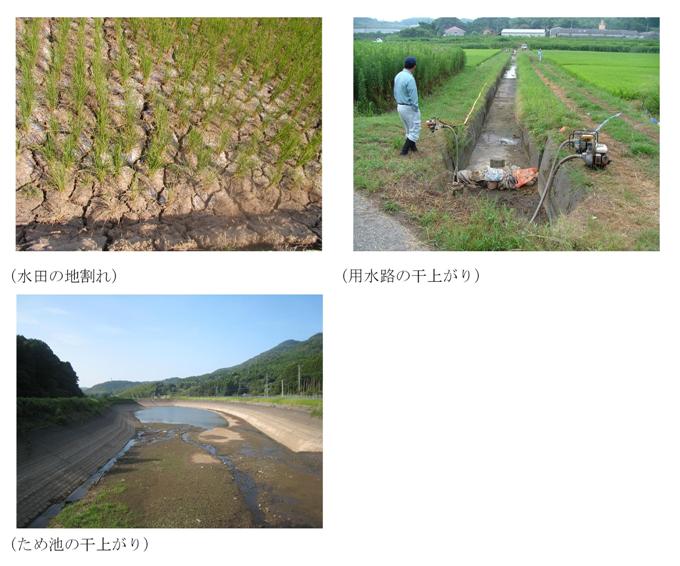 渇水状況