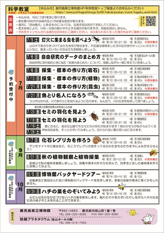 裏